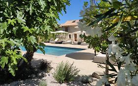 Les Champs De Provence